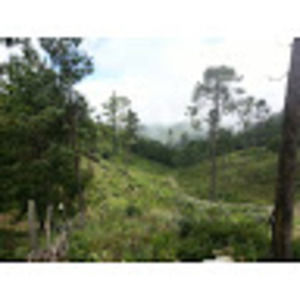 Meet your Posher, Juan